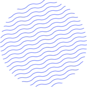 Mentormerlin-home-shape-01